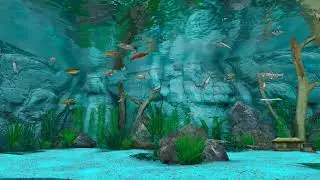 Real VR Fishing Lodge Fresh And Saltwater aquarium how to add fish 4K