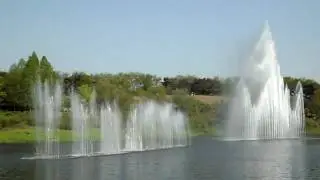 WB1000 Quality TEST 1