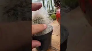 Esse merece um Like n&eacute; 😍😍