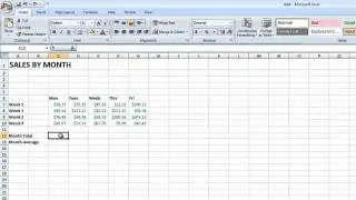 Using Autosum with Microsoft Excel 2007