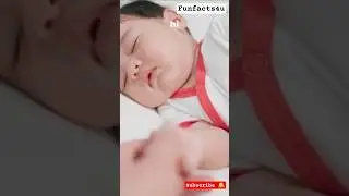 Newborn Baby 18 Ghante Kyun Sota Hai? 😴 Shocking Fact #babyfacts#newborn#shorts