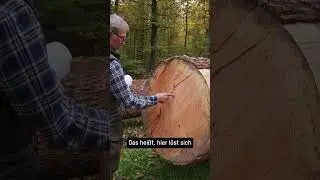 Qualit&auml;t im Holz zeigt sich nicht auf den ersten Blick #massivholz #wood #wirliebenholz #woodworking
