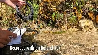 Aquabeat Hydrophone from Terra Nova Press #FieldRecording #Hydrophone #Freshwater