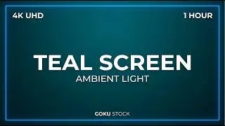 1 Hour Pure Teal Screen - 4K Ultra HD - Sophisticated Ambient Light & Monitor Test