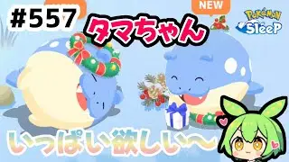 【睡眠リサーチ】＃557『ホリデータマちゃん、可愛くて強いとか♥欲しすぎる』【ポケモンスリープ/pokemon sleep】【無課金ゴプラ勢】【ゆっくり実況ずんだもん】