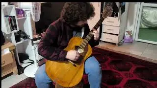 Archtop from recycled woods . Made by Gideon Wiegert