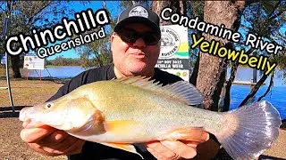 Fishing Condamine River Yellowbelly 