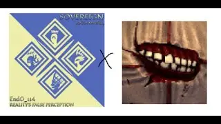 Reality's False Perception x Order