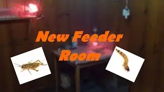 New Feeder Room Update!!!