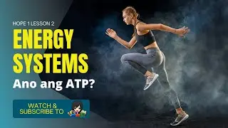 Ano ang Energy System?/Anaerobic Lactic/ Anaerobic A-Lactic/Aerobic Energy