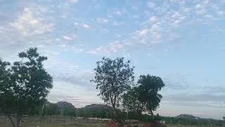 Birds Flying, Beautiful Nature, Clouds, Blue Sky, Nature at its Best