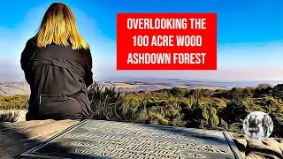 Overlooking, Winnie the Pooh's 100 Acre Wood: The Ashdown Forest