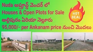 Allipuram area Open plots & Houses for Sale #nellore #nellorerealestate #house #openplots #sale