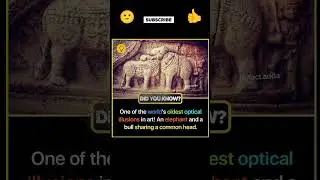 🤯 World's Oldest Optical Illusion? Elephant and Bull Riddle!