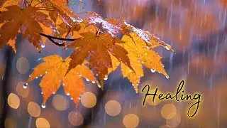 Tranquil Violin, Cello & Piano Melodies ~ Relaxing Music And Rain for Peaceful Moments | Deep Sleep
