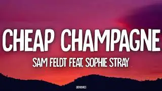 Sam Feldt - Cheap Champagne (Lyrics) feat. Sophie Stray