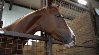 FIRST CLASS PROPERTIES NORTH MISSOURI EQUESTRIAN RANCH