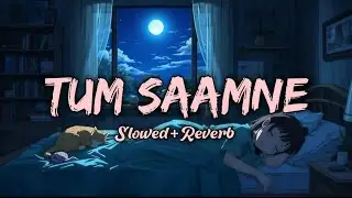 TUM SAAMNE ( SLOWED X REVERB )