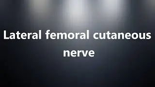 Lateral femoral cutaneous nerve - Medical Meaning and Pronunciation