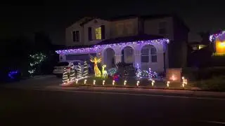 Xmas decorations LEDs lights 