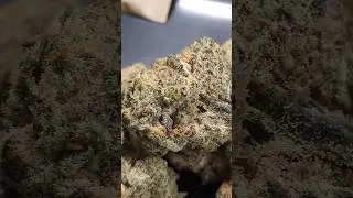 CRAFT BOTANICS STRAWBERRY FROYO (UK PRESCRIPTION MEDICATION)