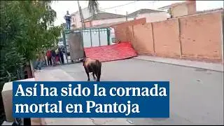 As&iacute; ha sido la cornada mortal de un toro en un encierro de Pantoja (Toledo)