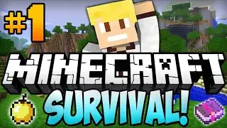 First Video Of Minecraft Survival ! #1