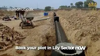 Lily Block I Development Update I 5 & 8 Marla Ready-to-Possession Plots I Land Hub