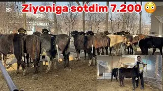 🫣BUNDAY NARX BO&rsquo;LMAGAN yosh hunojinlar Arzon NARXDA sotuvda 