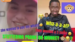 Stuttering prank on Monkey 🐒 (Hilarious)