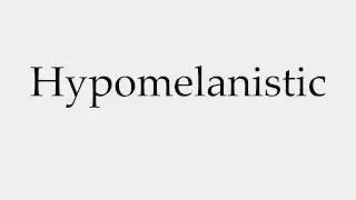 How to Pronounce Hypomelanistic
