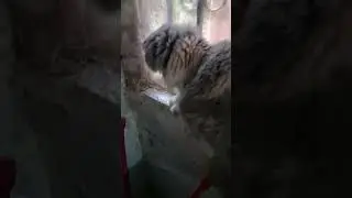 Мне выговор и я сделала выговор🤣😅🥳🤣😂