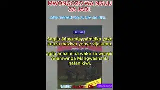 MWONGOZO WA NGUU ZA JADI.SURA YA PILI