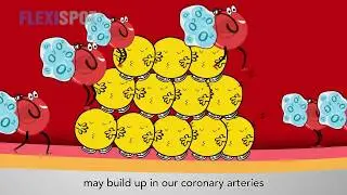 Risk Factors of Coronary Heart Disease - Are you at risk?
