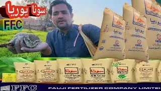 قران الکریم // سورہ عصر