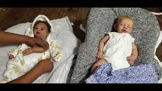 Theme Thursday with Adonis and Rowe. All bundled up and Girls in blue.🥰💙