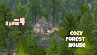 I Built a Cozy Forest House  The Sims 4 House  Tour