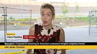 CBC News Toronto - June 04, 2025 [Late Night]