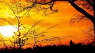 Milews - Cafe Del Mar Dreams - Buddha Bar Mix