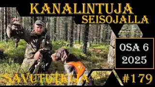 Osa 6/2025: Kanalintujahtia saksanseisojalla - Grouse and Capercailliehunt ing with pointing dog