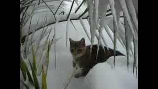 Monte Porzio Catone.mp4