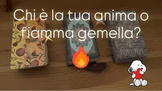 Chi &egrave; la tua anima o fiamma gemella?