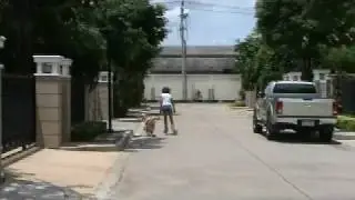 LandRollerSkates