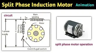 split phase induction motor | split phase induction motor animation |single phase induction motor|L7