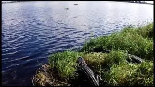 AirBoatRide
