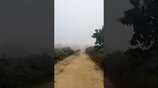 यात्रा👣 #journey #work #road #winter #terai #peace #nature #travel #song #shorts 🔥😱