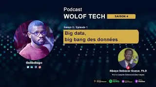 S5E1 - Big data, big bang des donn&eacute;es
