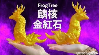 コオ FrogTree 麟核 -金紅石- StartBuy888 游心慧Ver
