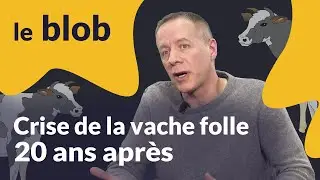 Crise de la vache folle, 20 ans après | Interview
