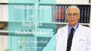 Mesane, Rahim ve Bağırsak Sarkması Neden Olur? Prof. Dr. Yavuz &Ouml;nol